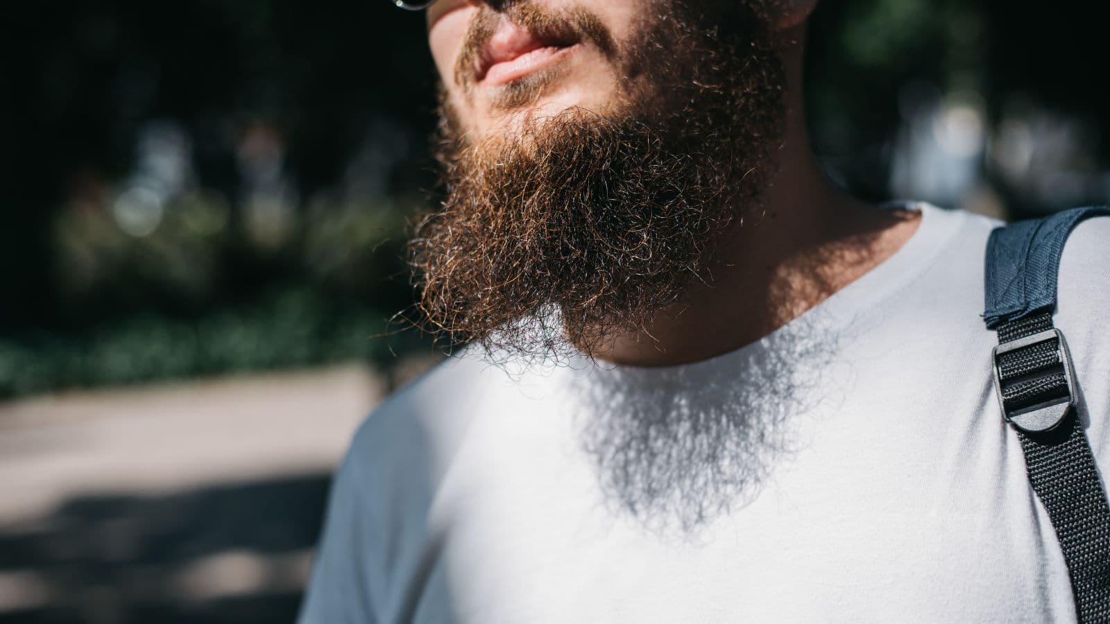 Illustration de l'article « La barbe : obligation ou simple permission ? »